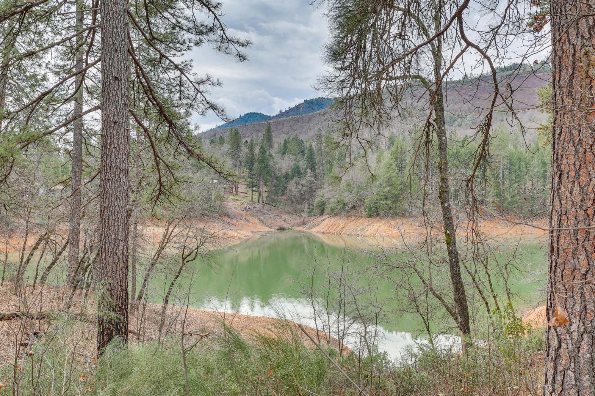 فيلا Charming Lakehead Cabin Walk To Shasta Lake! المظهر الخارجي الصورة